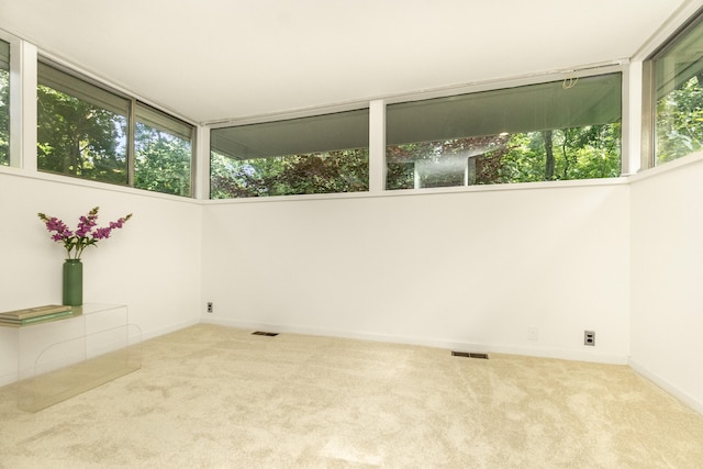 2707 Englave Dr, Ann Arbor, MI 48103 - photo 68