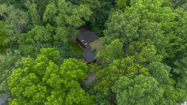 2707 Englave Dr, Ann Arbor, MI 48103 - photo 88