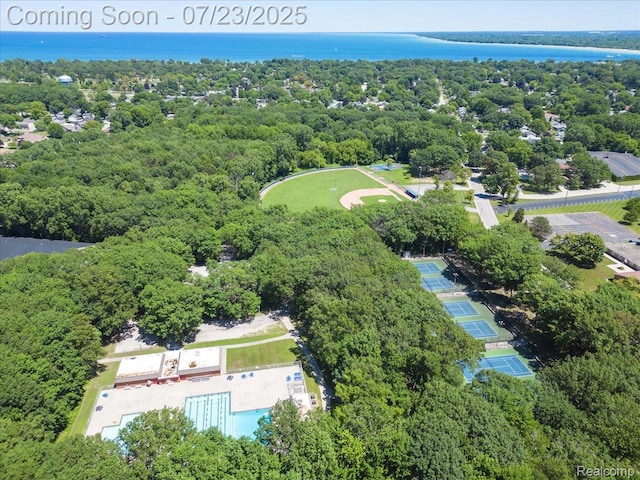 825 Sanborn St, Port Huron, MI 48060 - photo 33