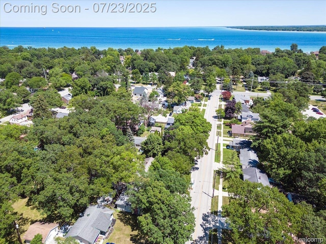 825 Sanborn St, Port Huron, MI 48060 - photo 31