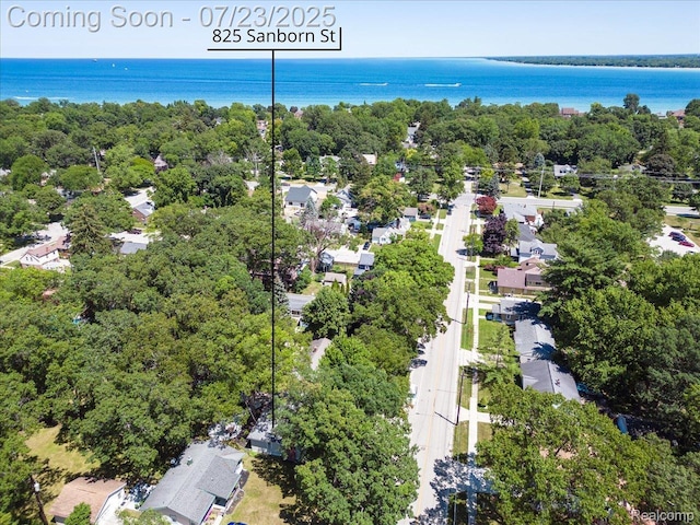 825 Sanborn St, Port Huron, MI 48060 - photo 30