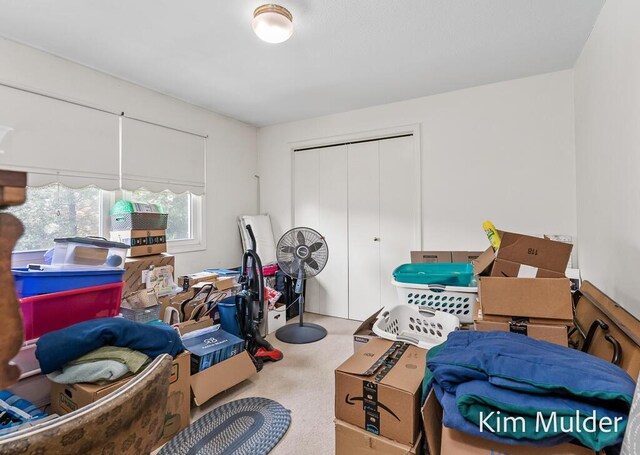 3378 Keswick Dr NE, Belmont, MI 49306 - photo 43