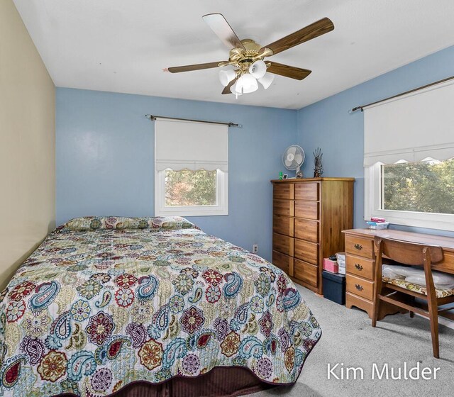3378 Keswick Dr NE, Belmont, MI 49306 - photo 50