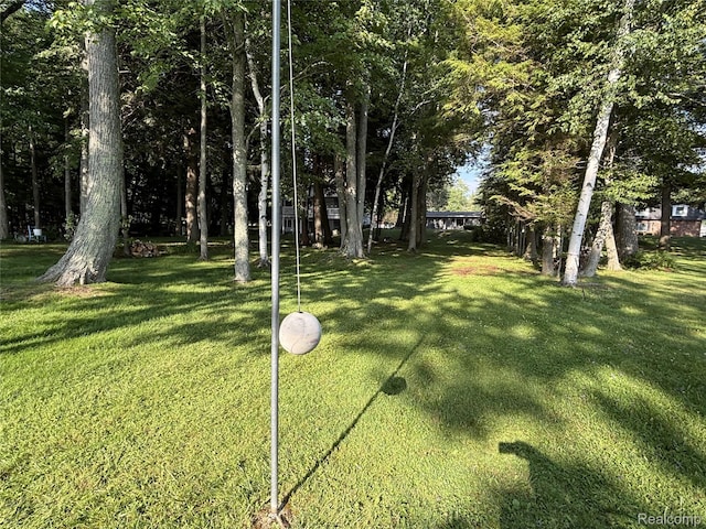 202 Mcdonald Dr, Houghton Lake, MI 48629 - photo 22
