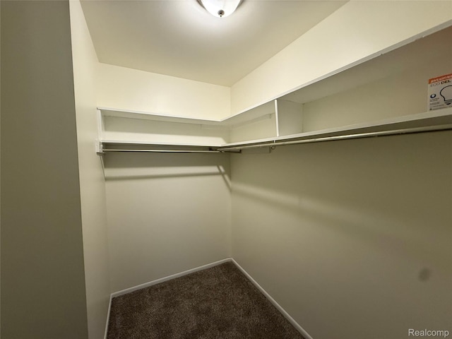 325 Riviera Dr, Saint Clair Shores, MI 48080 - photo 20