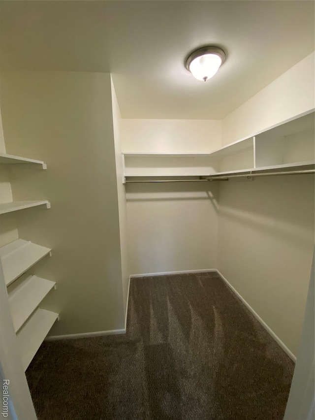 325 Riviera Dr, Saint Clair Shores, MI 48080 - photo 21