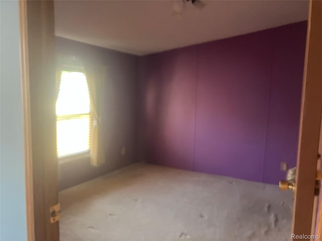 316 Hidden Rdg, Morrice, MI 48857 - photo 12