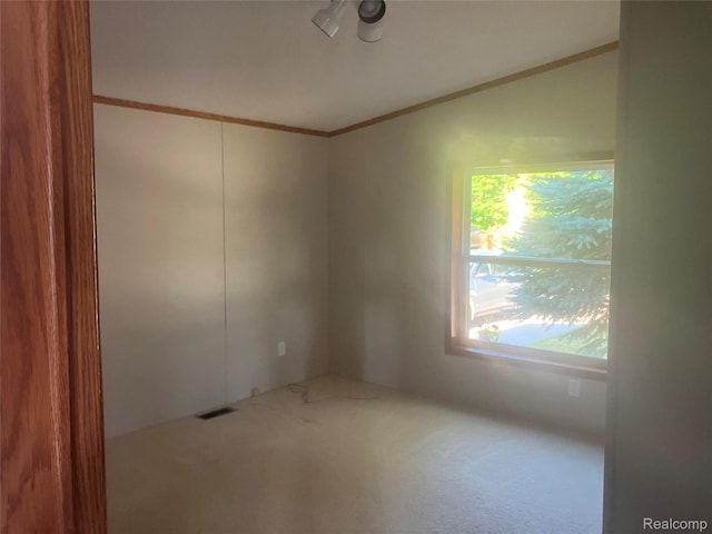 316 Hidden Rdg, Morrice, MI 48857 - photo 19