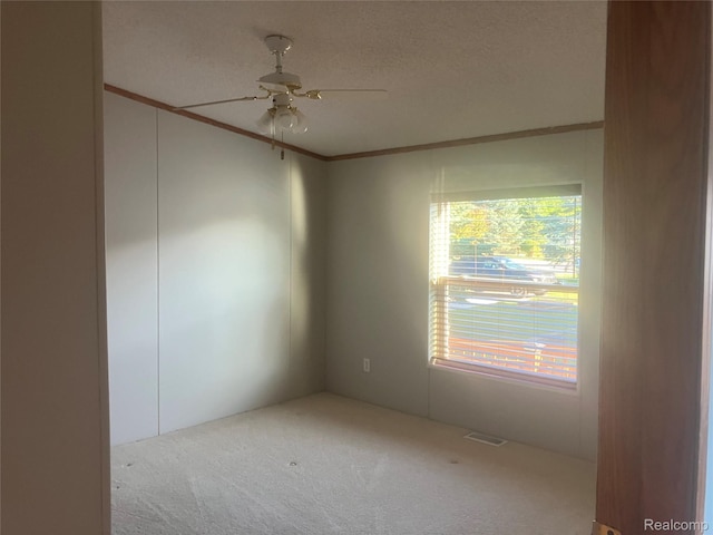 316 Hidden Rdg, Morrice, MI 48857 - photo 16