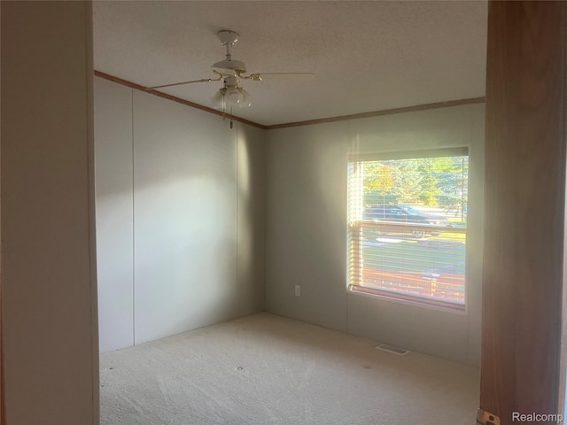 316 Hidden Rdg, Morrice, MI 48857 - photo 17