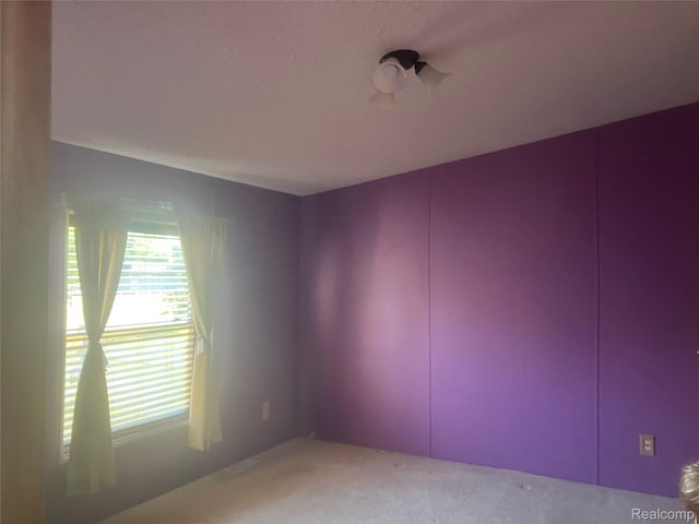 316 Hidden Rdg, Morrice, MI 48857 - photo 15