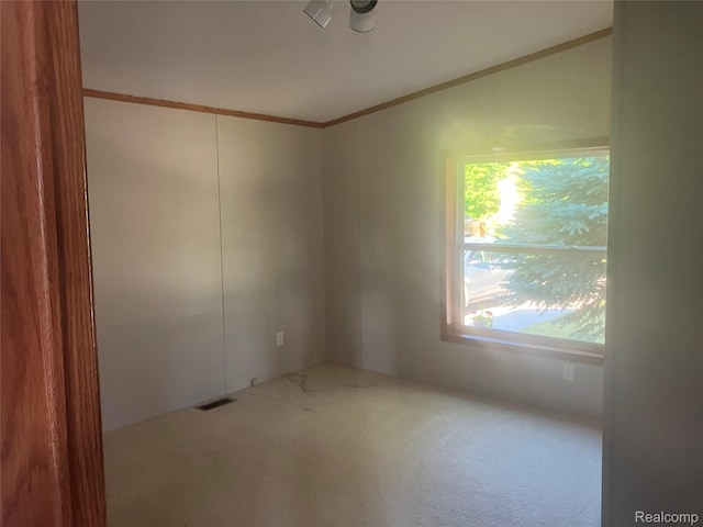 316 Hidden Rdg, Morrice, MI 48857 - photo 18
