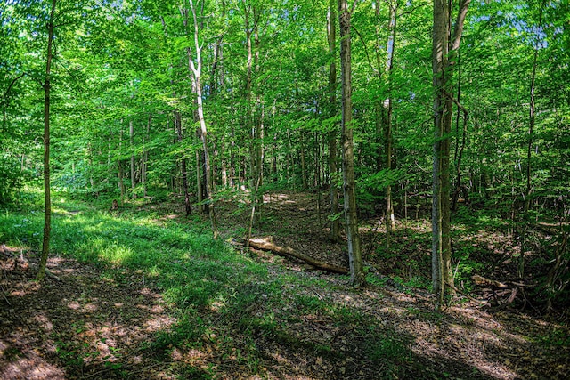 8726 Division Ct SE, Byron Center, MI 49315 - photo 25