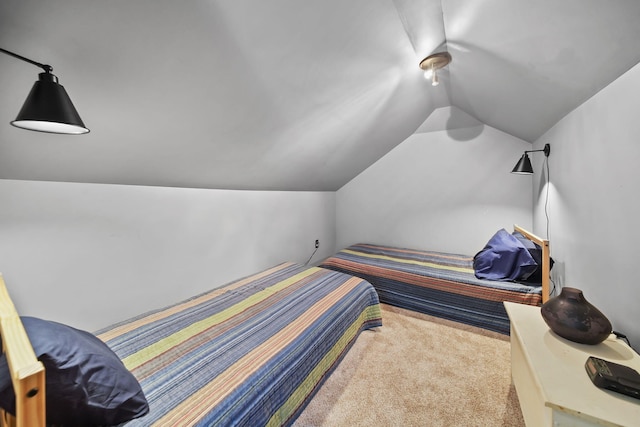 10525 Antcliff Rd, Brooklyn, MI 49230 - photo 34
