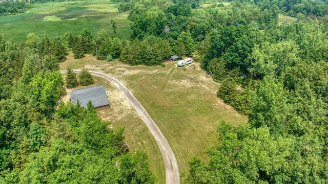10525 Antcliff Rd, Brooklyn, MI 49230 - photo 46