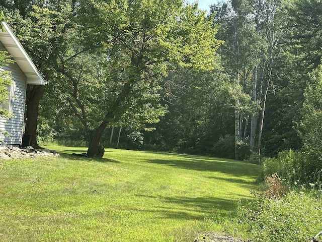 1613 W Linwood Rd, Linwood, MI 48634 - photo 6