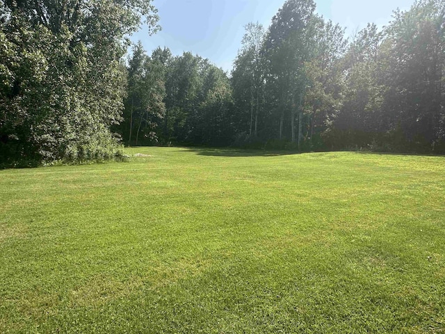 1613 W Linwood Rd, Linwood, MI 48634 - photo 10