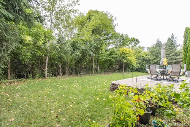 3374 Empire State Dr, Canton, MI 48188 - photo 62