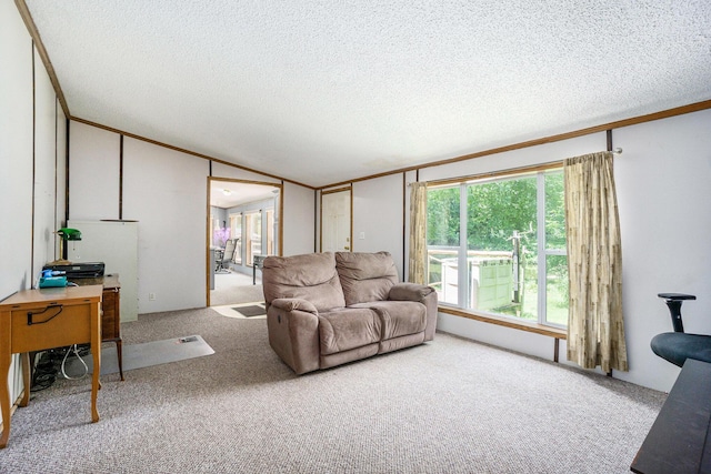 10386 N 2nd St, Otsego, MI 49078 - photo 6