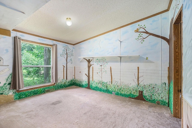 10386 N 2nd St, Otsego, MI 49078 - photo 10
