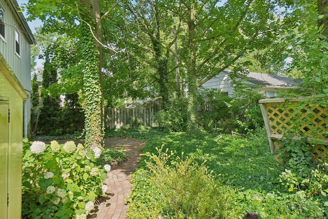 1821 Anderson Ave, Ann Arbor, MI 48104 - photo 34