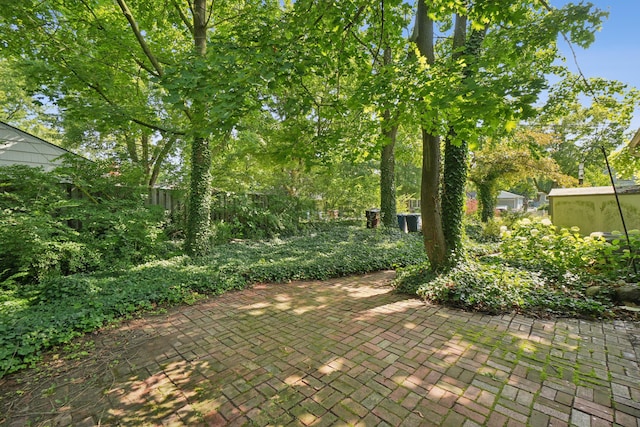 1821 Anderson Ave, Ann Arbor, MI 48104 - photo 35
