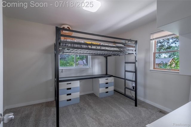 11405 Norway Dr, Hartland, MI 48353 - photo 9
