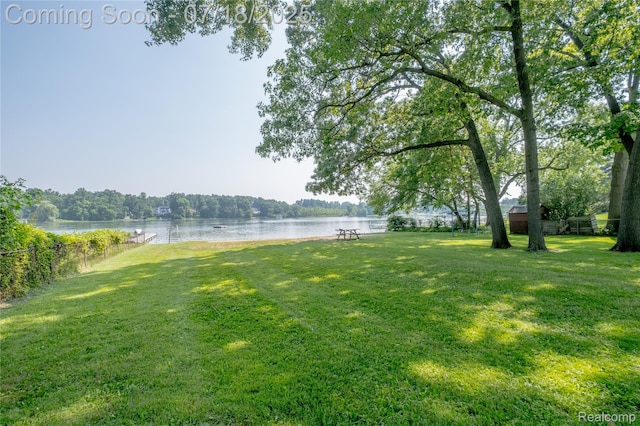 11405 Norway Dr, Hartland, MI 48353 - photo 18