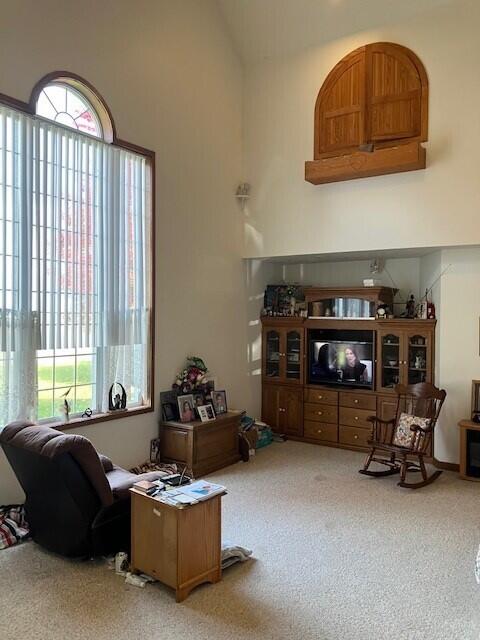 23315 N 30th Ave, Marion, MI 49665 - photo 16