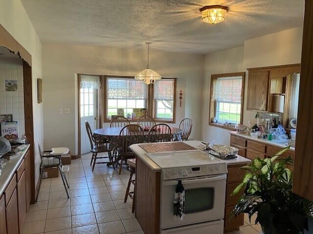 23315 N 30th Ave, Marion, MI 49665 - photo 22