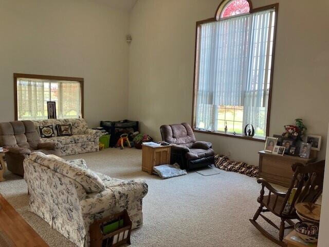 23315 N 30th Ave, Marion, MI 49665 - photo 18