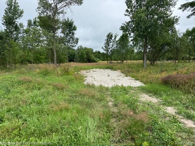 00 Legault Blvd, Ortonville, MI 48462 - photo 4