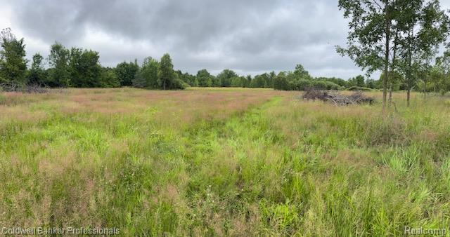 00 Legault Blvd, Ortonville, MI 48462 - photo 6
