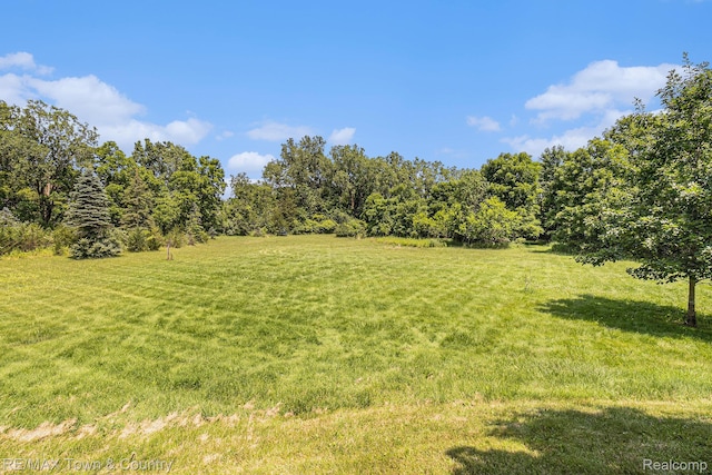 7346 Potter Rd, Flushing, MI 48433 - photo 37