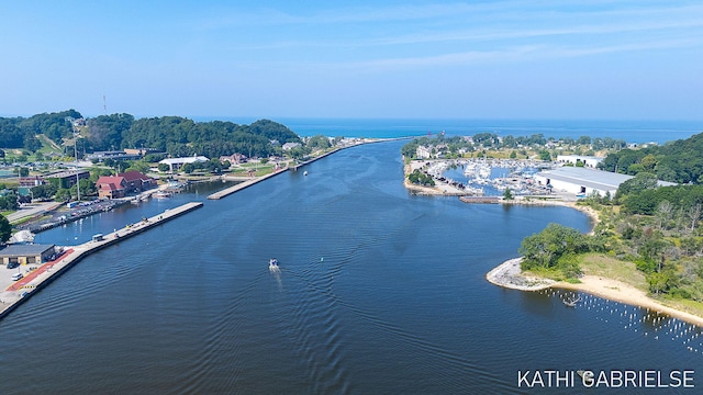 117 Washington Ave Unit B, Grand Haven, MI 49417 - photo 5