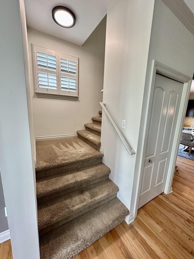 858 Reagan St, Canton, MI 48188 - photo 23