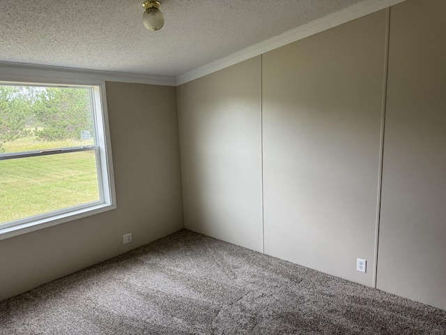 3069 N Johnson Rd, Weidman, MI 48893 - photo 5
