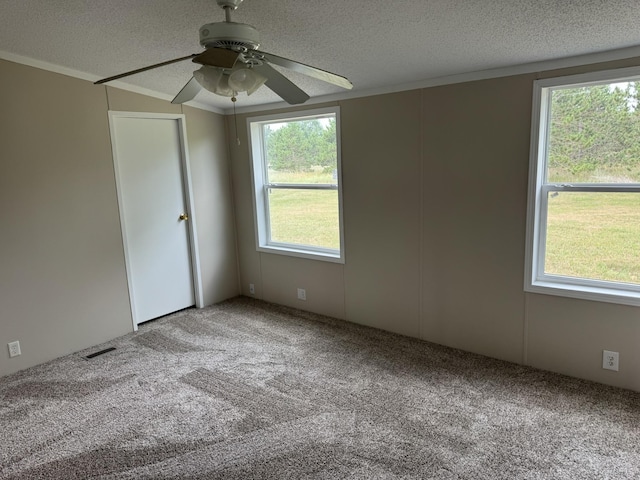 3069 N Johnson Rd, Weidman, MI 48893 - photo 4