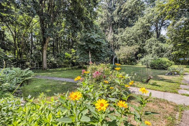 317 Sulgrave Ave, Jackson, MI 49203 - photo 4
