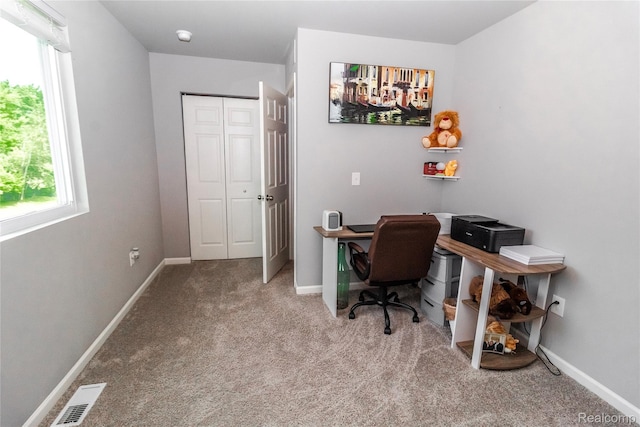 1205 Lancaster St, Lapeer, MI 48446 - photo 15