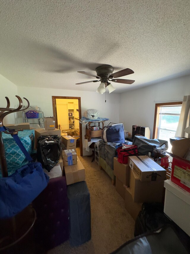 3855 E Sternberg Rd, Fruitport, MI 49415 - photo 33