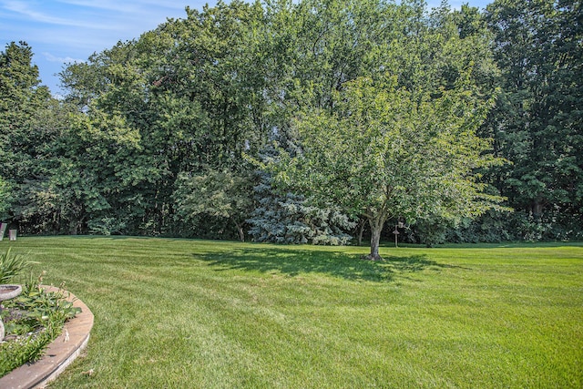 4770 Weston Ave, Kalamazoo, MI 49006 - photo 20