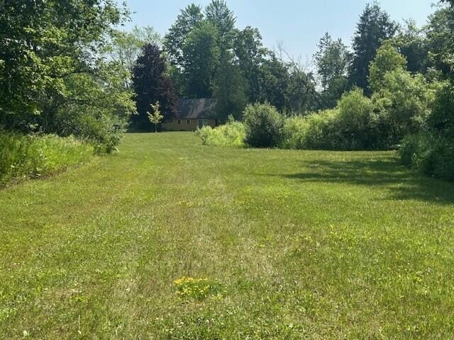 4110 S Mcvety Rd, Merritt, MI 49667 - photo 34