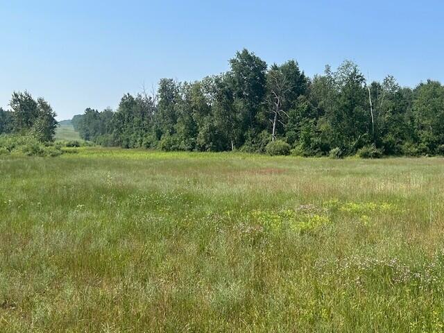 4110 S Mcvety Rd, Merritt, MI 49667 - photo 35