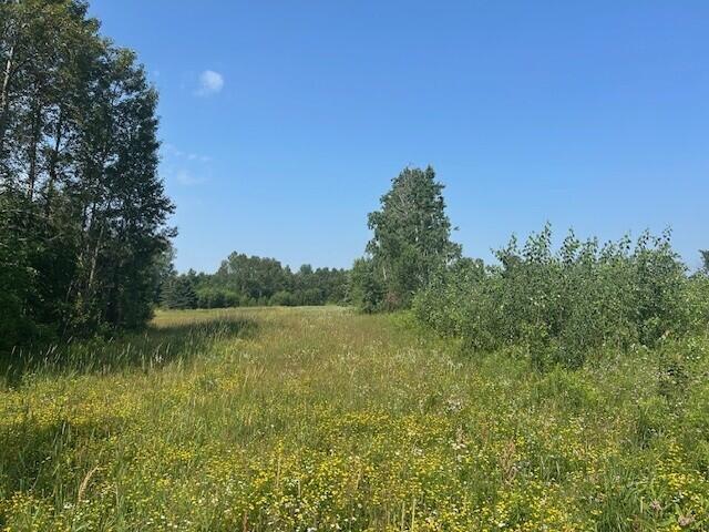 4110 S Mcvety Rd, Merritt, MI 49667 - photo 37