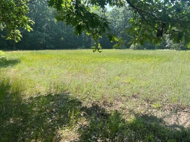 4110 S Mcvety Rd, Merritt, MI 49667 - photo 39