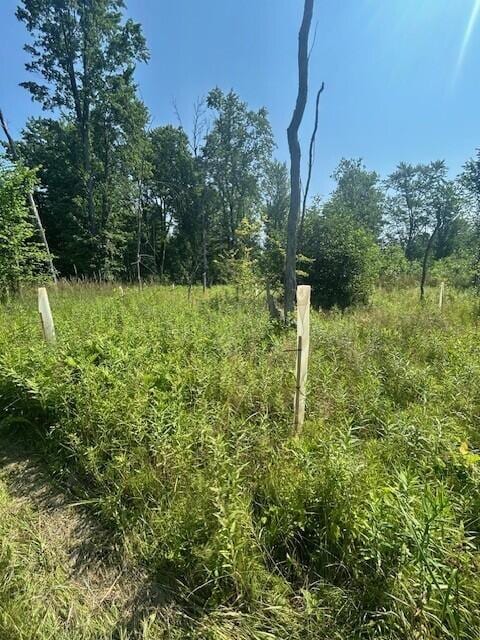 4110 S Mcvety Rd, Merritt, MI 49667 - photo 40