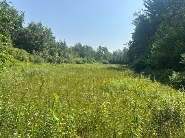 4110 S Mcvety Rd, Merritt, MI 49667 - photo 42