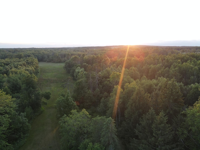 4110 S Mcvety Rd, Merritt, MI 49667 - photo 3