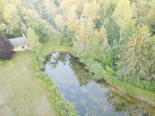 4110 S Mcvety Rd, Merritt, MI 49667 - photo 4